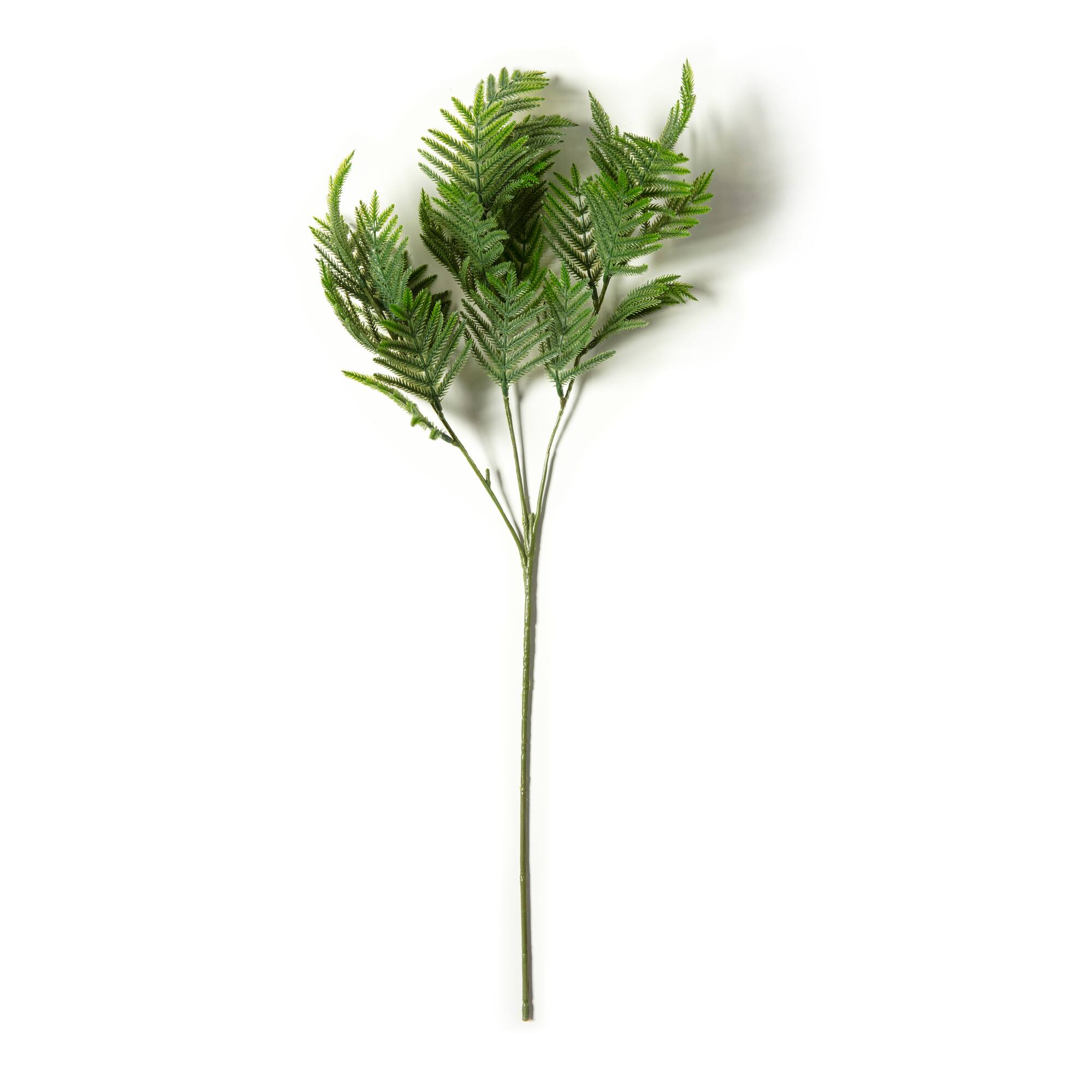 Leather Fern Spray by Ashland®